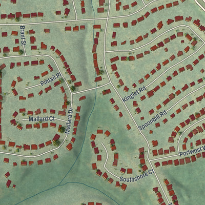 Close-up of the map of Bonanza, Georgia print showing street and building detail
