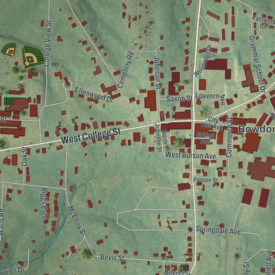 Close-up 1 of the Bowdon, Georgia map artwork