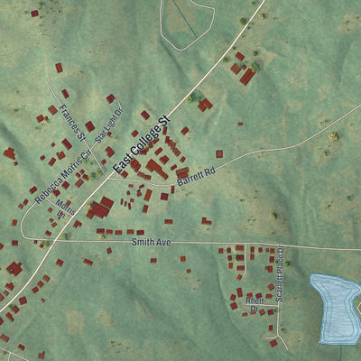 Close-up 2 of the Bowdon, Georgia map artwork