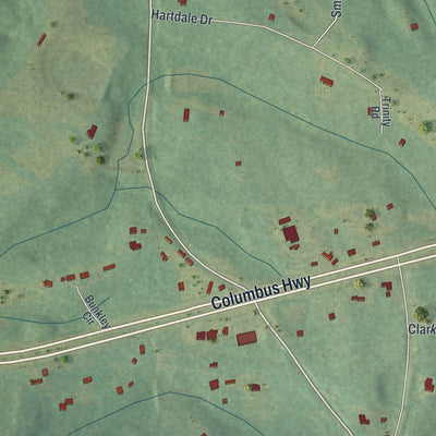 Close-up of the map of Box Springs, Georgia print showing street and building detail