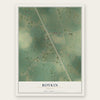 Boykin, Georgia map print, the full design