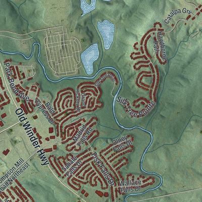 Close-up 1 of the Braselton, Georgia map artwork