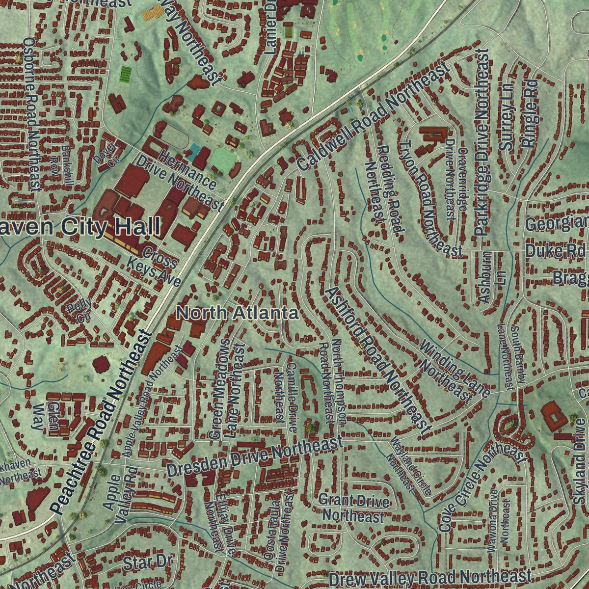 Close-up 1 of the Brookhaven, Georgia map artwork