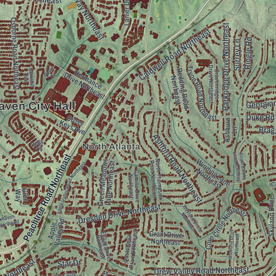 Close-up 1 of the Brookhaven, Georgia map artwork