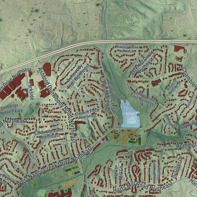 Close-up 2 of the Brookhaven, Georgia map artwork