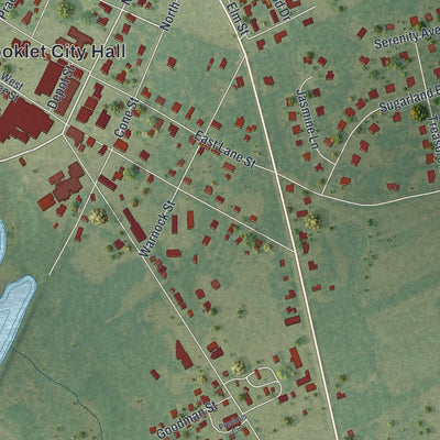 Close-up 1 of the Brooklet, Georgia map artwork