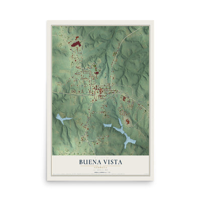 Buena Vista, Georgia map print, 12" x 18" Archival Matte Print mockup
