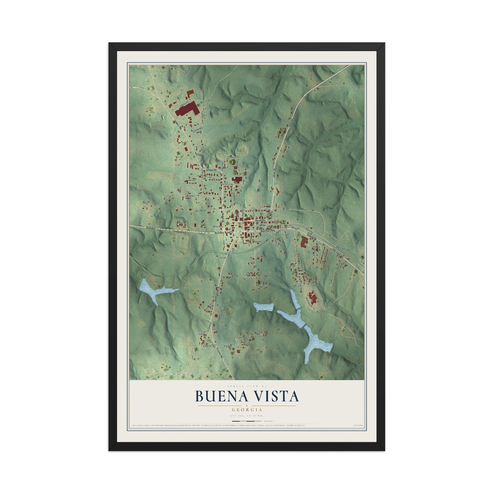 Buena Vista, Georgia map print, 12" x 18" W/ Black Ayous Wood Frame mockup
