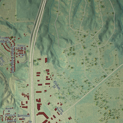 Close-up 2 of the Byron, Georgia map artwork