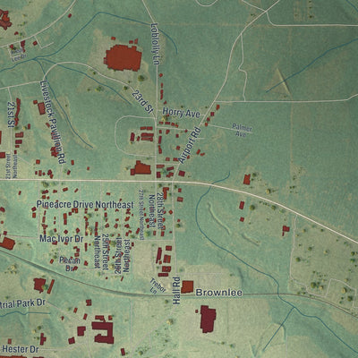 Close-up 2 of the Cairo, Georgia map artwork