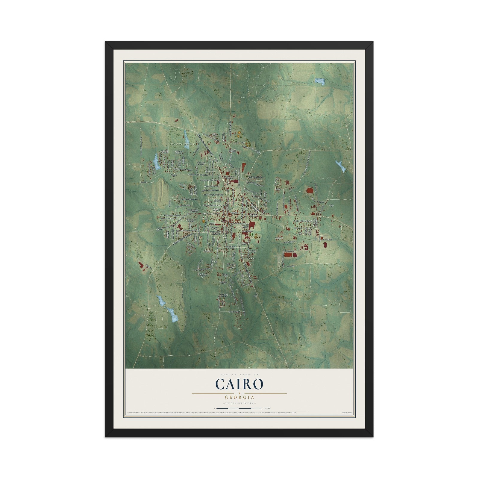 Cairo, Georgia map print, 12" x 18" W/ Black Ayous Wood Frame mockup