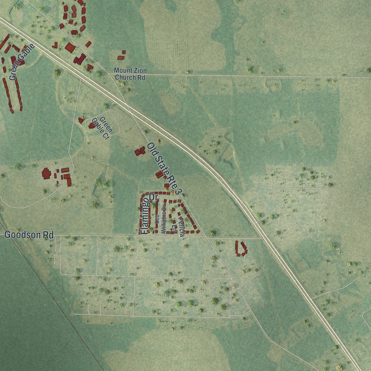 Close-up 2 of the Camilla, Georgia map artwork
