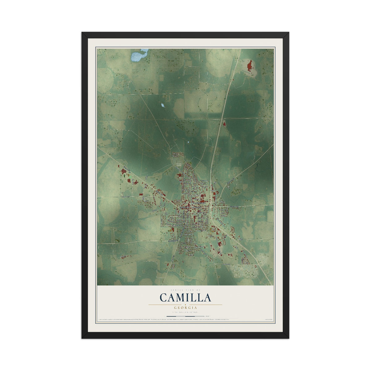 Camilla, Georgia map print, 12" x 18" W/ Black Ayous Wood Frame mockup