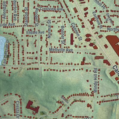 Close-up 2 of the Candler-McAfee, Georgia map artwork