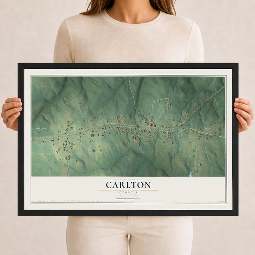Map of Carlton, Georgia, 12 x 18 inch print in a black wood frame