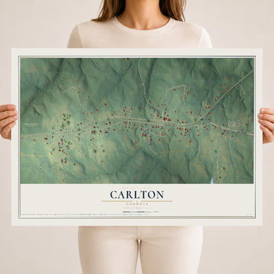 Carlton, Georgia map print, 18" x 24" Archival Matte Print mockup