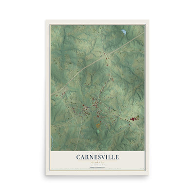 Carnesville, Georgia map print, 12" x 18" Archival Matte Print mockup