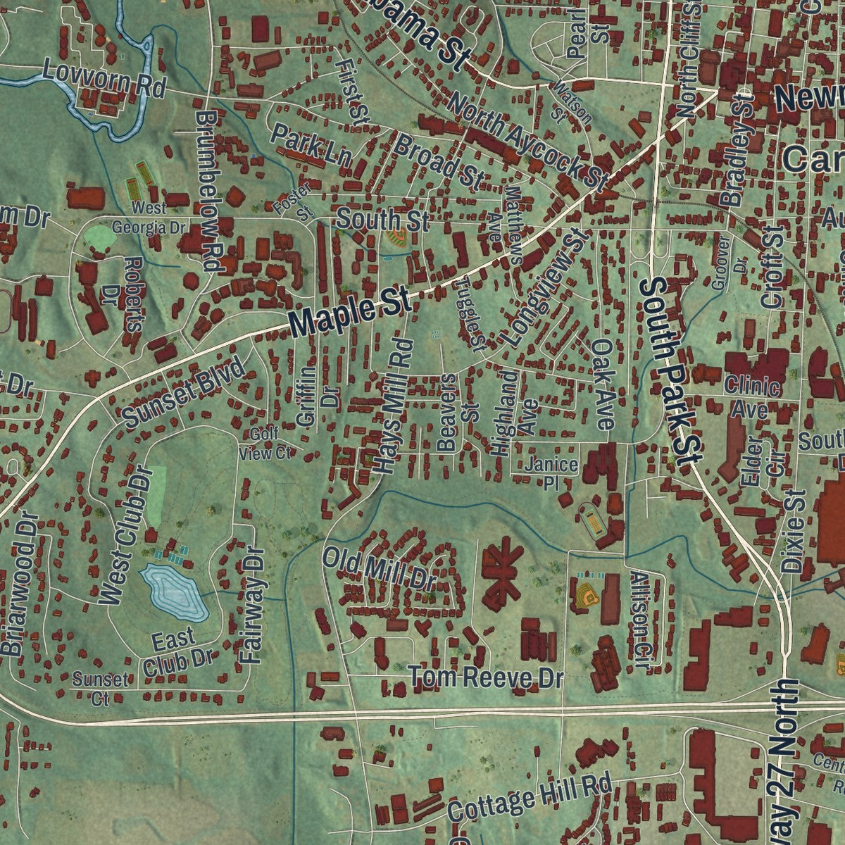 Close-up 1 of the Carrollton, Georgia map artwork