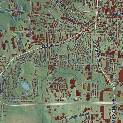 Close-up 1 of the Carrollton, Georgia map artwork