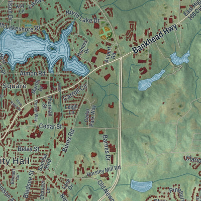 Close-up 2 of the Carrollton, Georgia map artwork