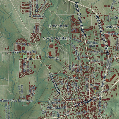 Close-up 1 of the Cartersville, Georgia map artwork