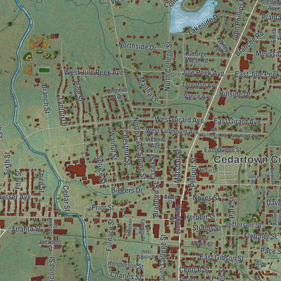Close-up 1 of the Cedartown, Georgia map artwork