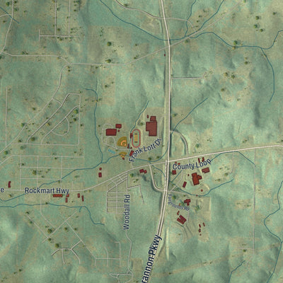 Close-up 2 of the Cedartown, Georgia map artwork