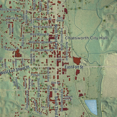Close-up 1 of the Chatsworth, Georgia map artwork