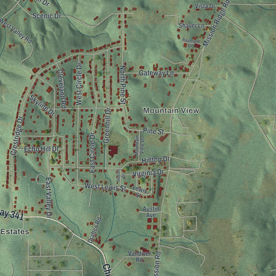 Close-up of the map of Chattanooga Valley, Georgia print showing street and building detail