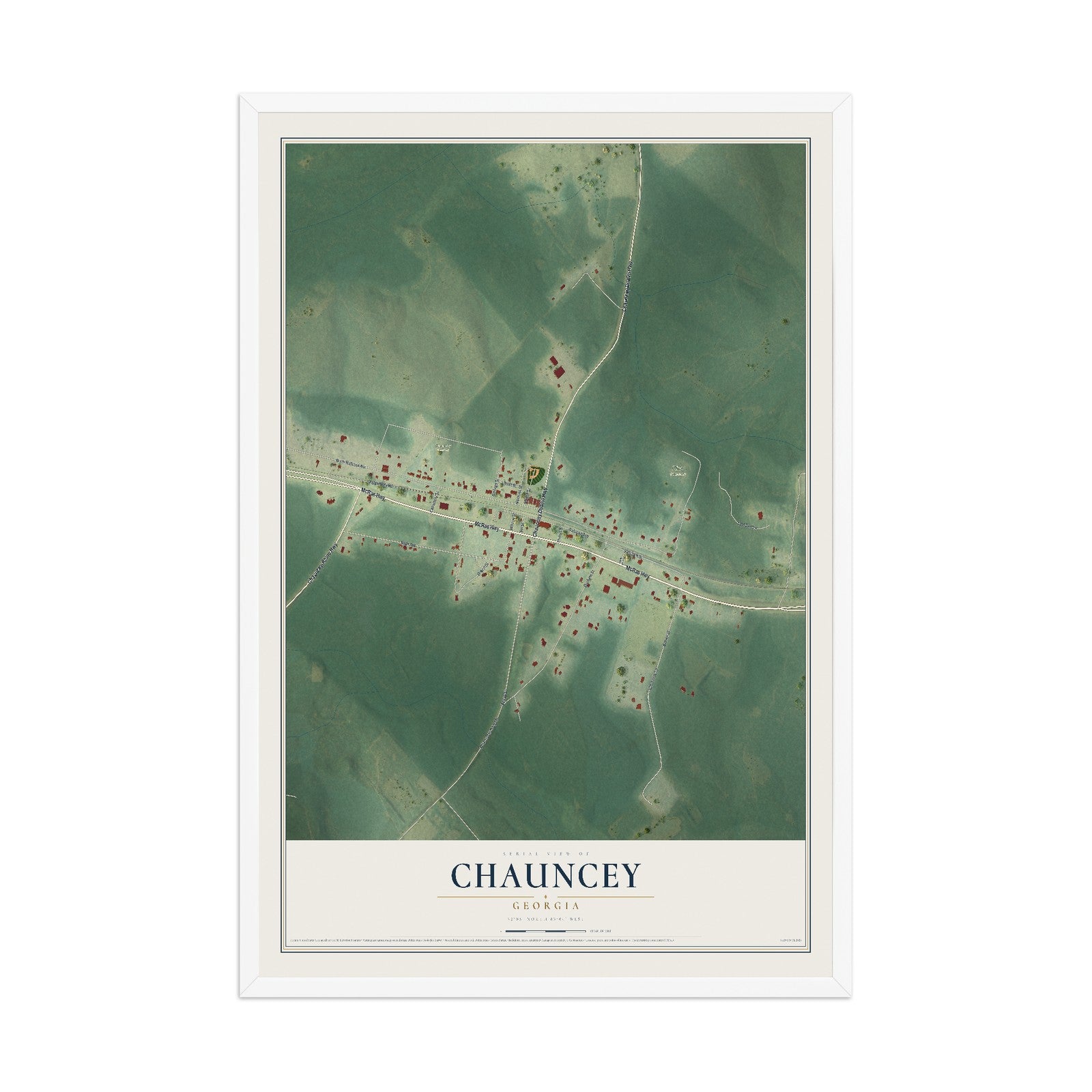 Chauncey, Georgia map print, 12" x 18" W/ White Ayous Wood Frame mockup