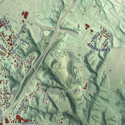 Close-up of the map of Chicopee, Georgia print showing street and building detail