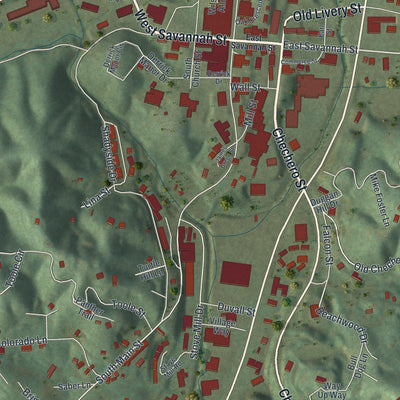 Close-up 1 of the Clayton, Georgia map artwork
