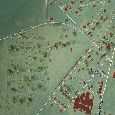 Close-up of the map of Clyattville, Georgia print showing street and building detail
