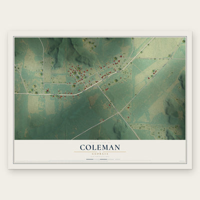 Coleman, Georgia map print, the full design