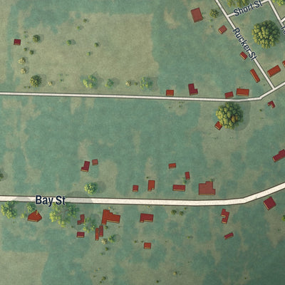 Close-up of the map of Coleman, Georgia print showing street and building detail