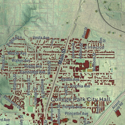Close-up 1 of the College Park, Georgia map artwork