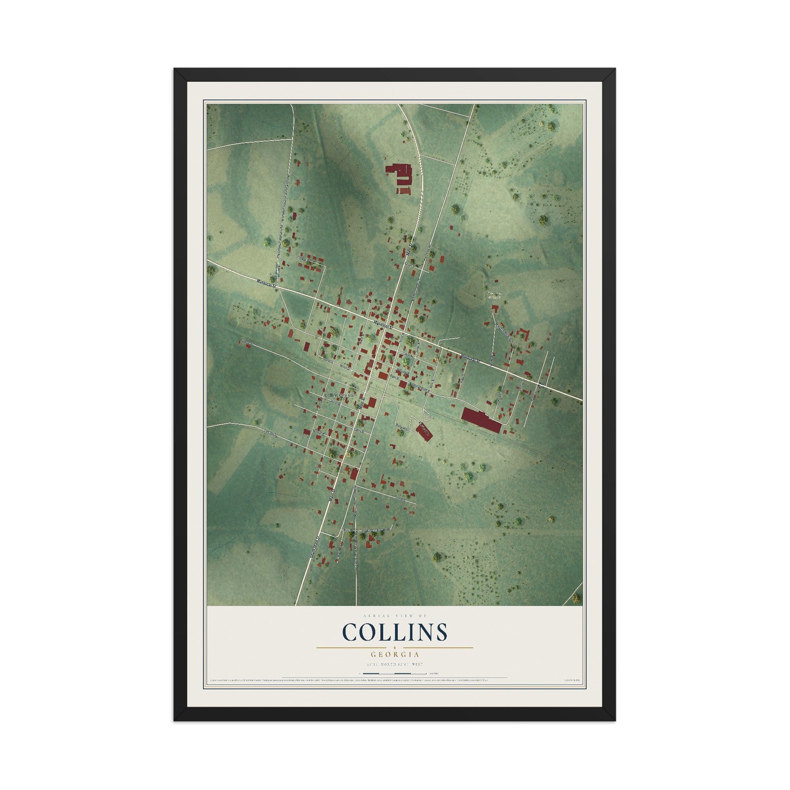 Collins, Georgia map print, 12" x 18" W/ Black Ayous Wood Frame mockup