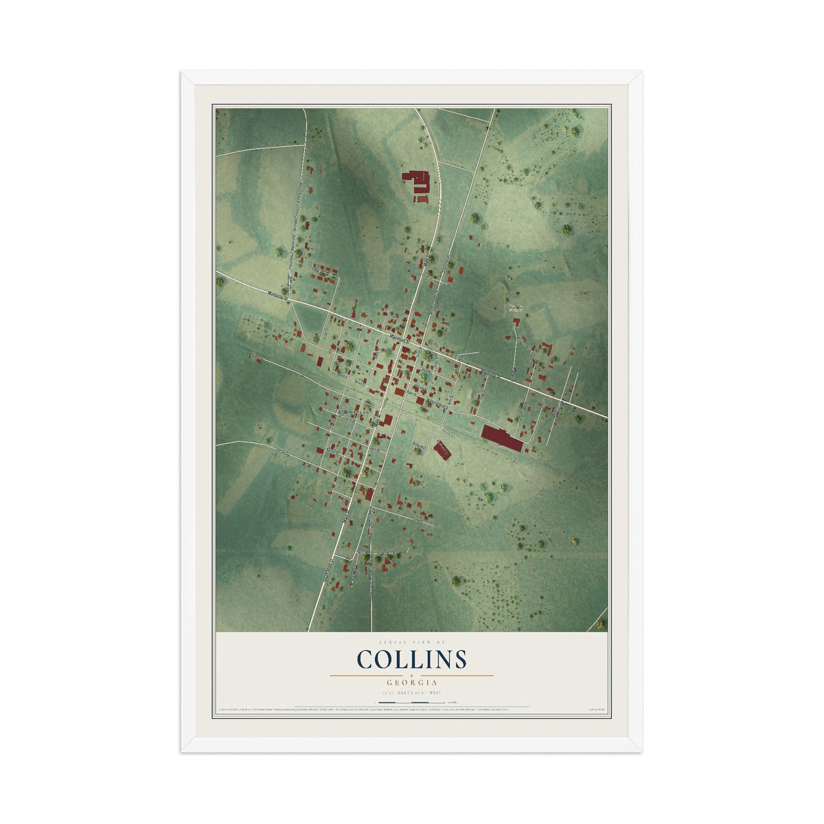 Collins, Georgia map print, 12" x 18" W/ White Ayous Wood Frame mockup