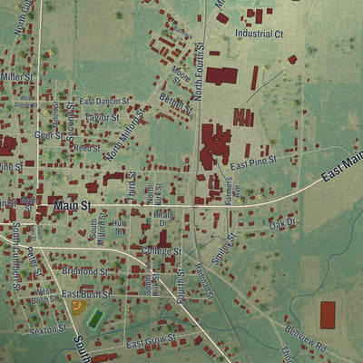 Close-up 1 of the Colquitt, Georgia map artwork