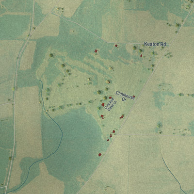 Close-up 2 of the Colquitt, Georgia map artwork