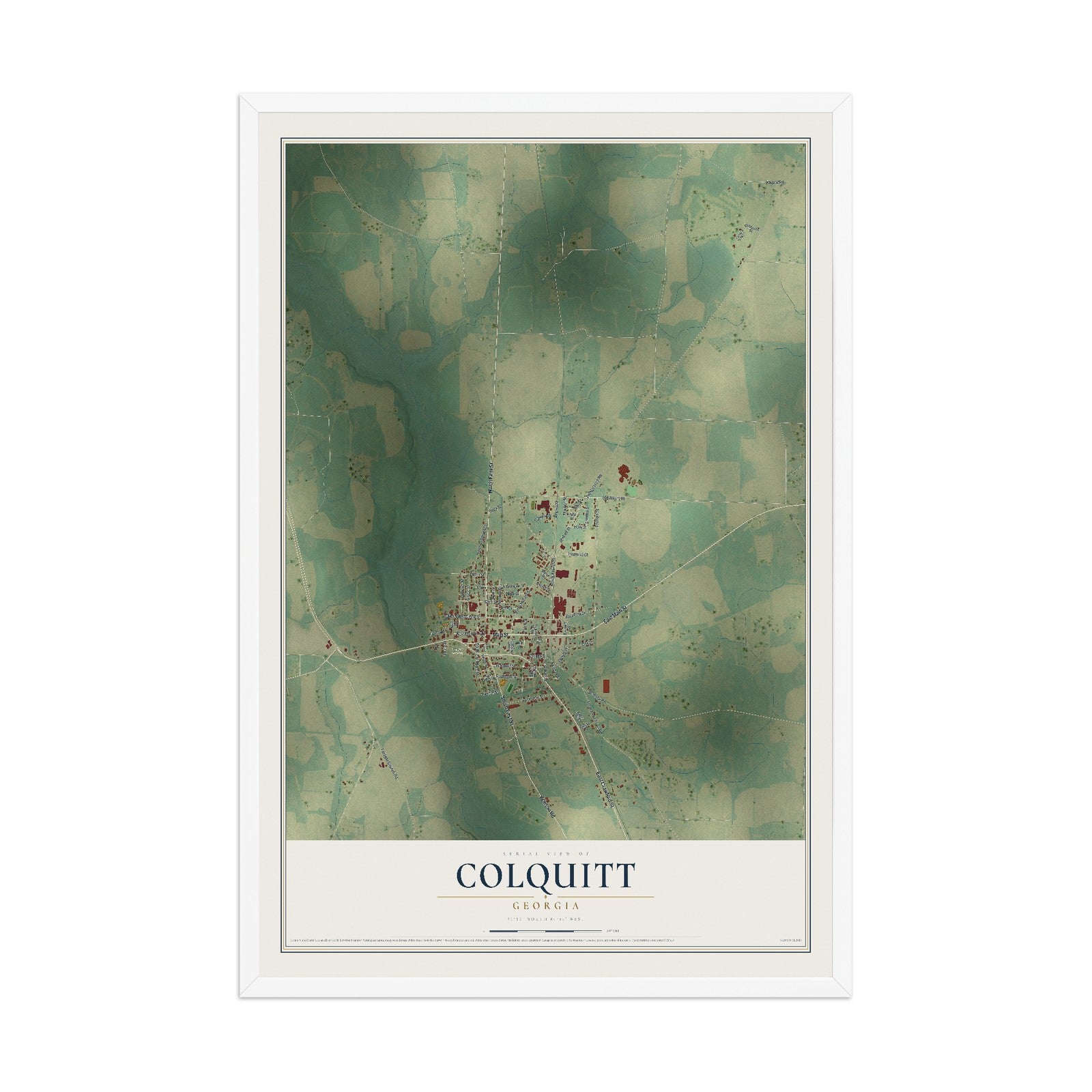 Colquitt, Georgia map print, 12" x 18" W/ White Ayous Wood Frame mockup