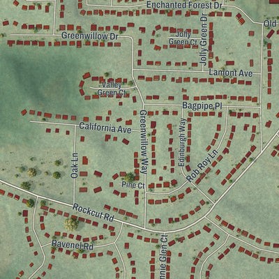 Close-up of the map of Conley, Georgia print showing street and building detail