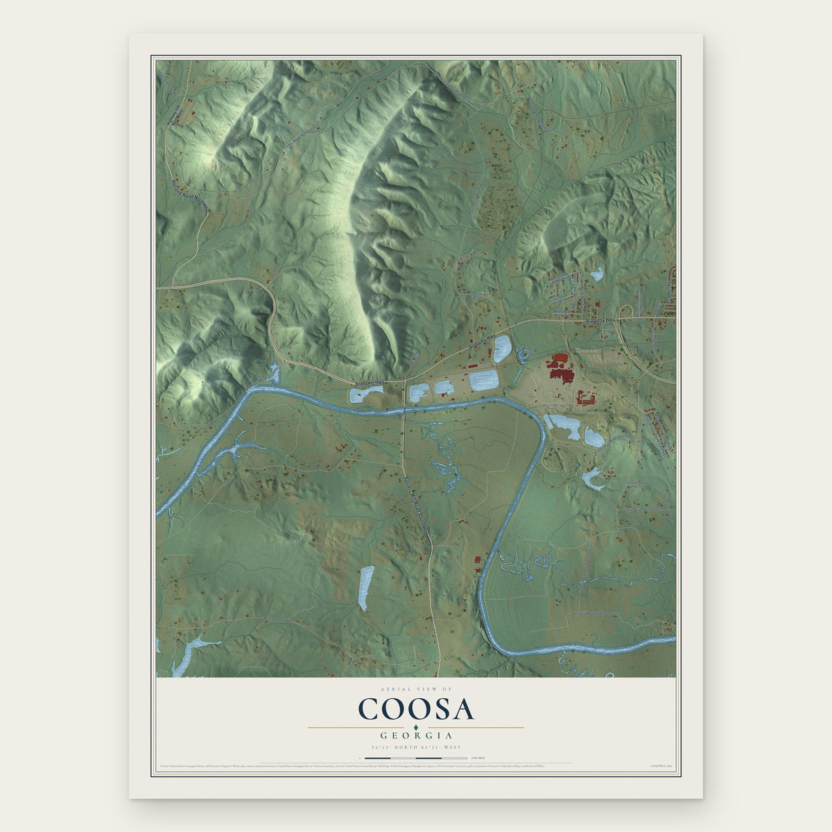 Coosa, Georgia map print, the full design