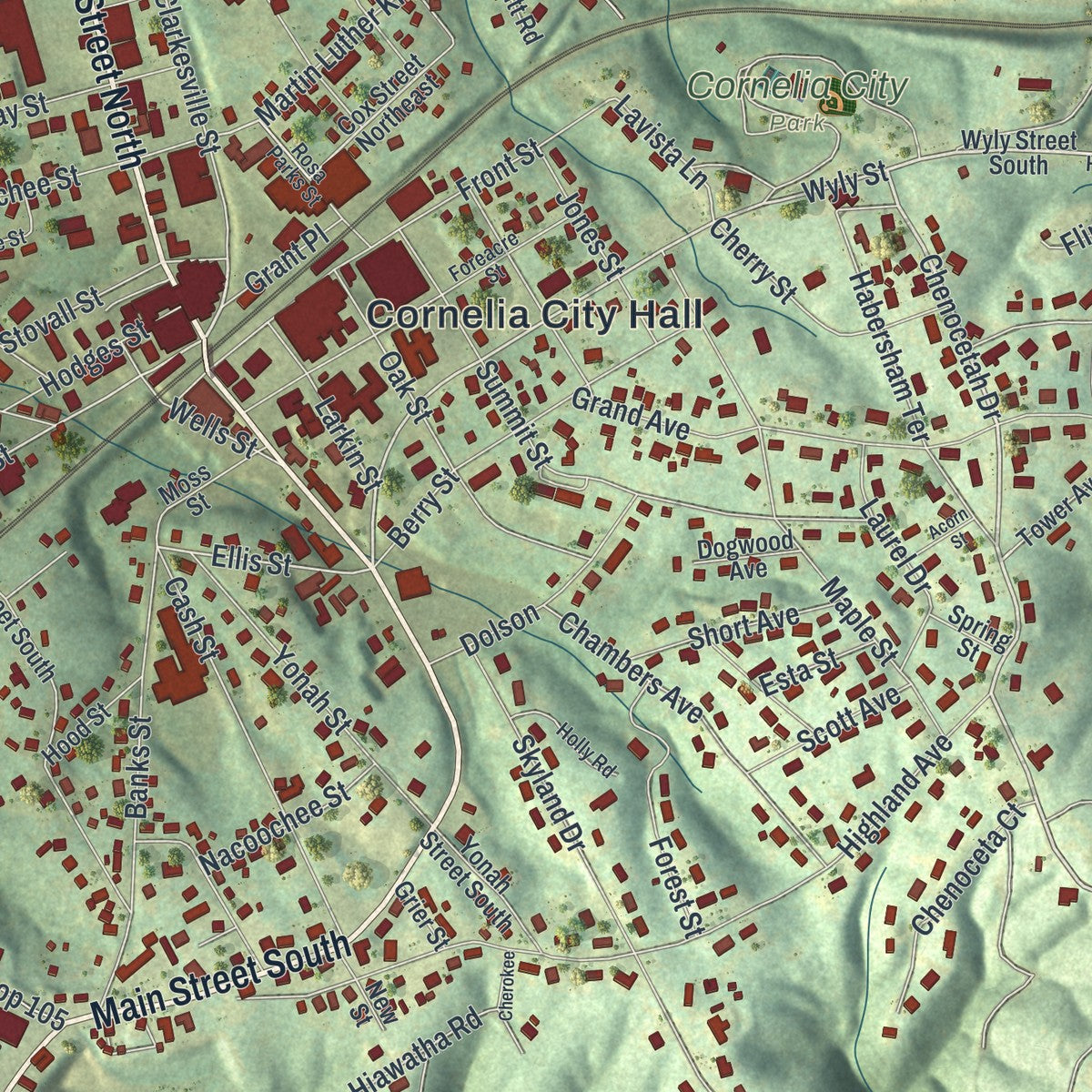 Close-up 1 of the Cornelia, Georgia map artwork