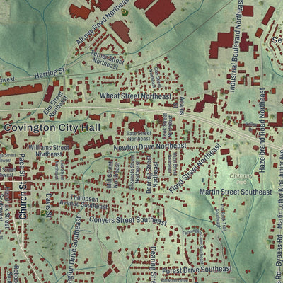 Close-up 1 of the Covington, Georgia map artwork