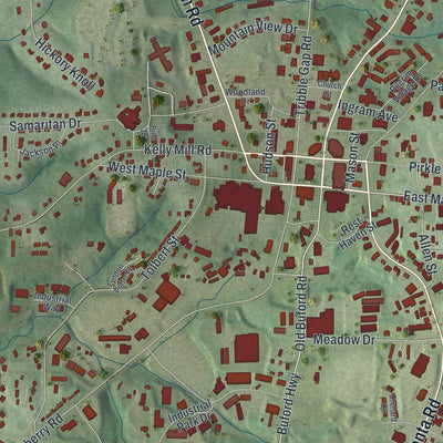 Close-up 1 of the Cumming, Georgia map artwork