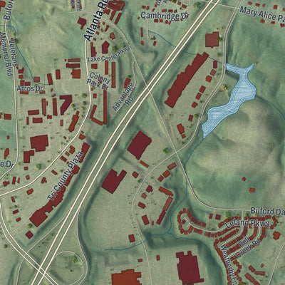 Close-up 2 of the Cumming, Georgia map artwork