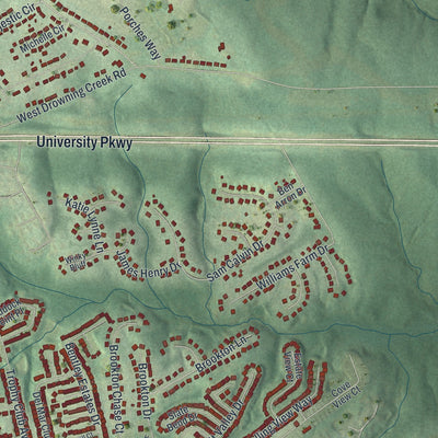 Close-up 2 of the Dacula, Georgia map artwork