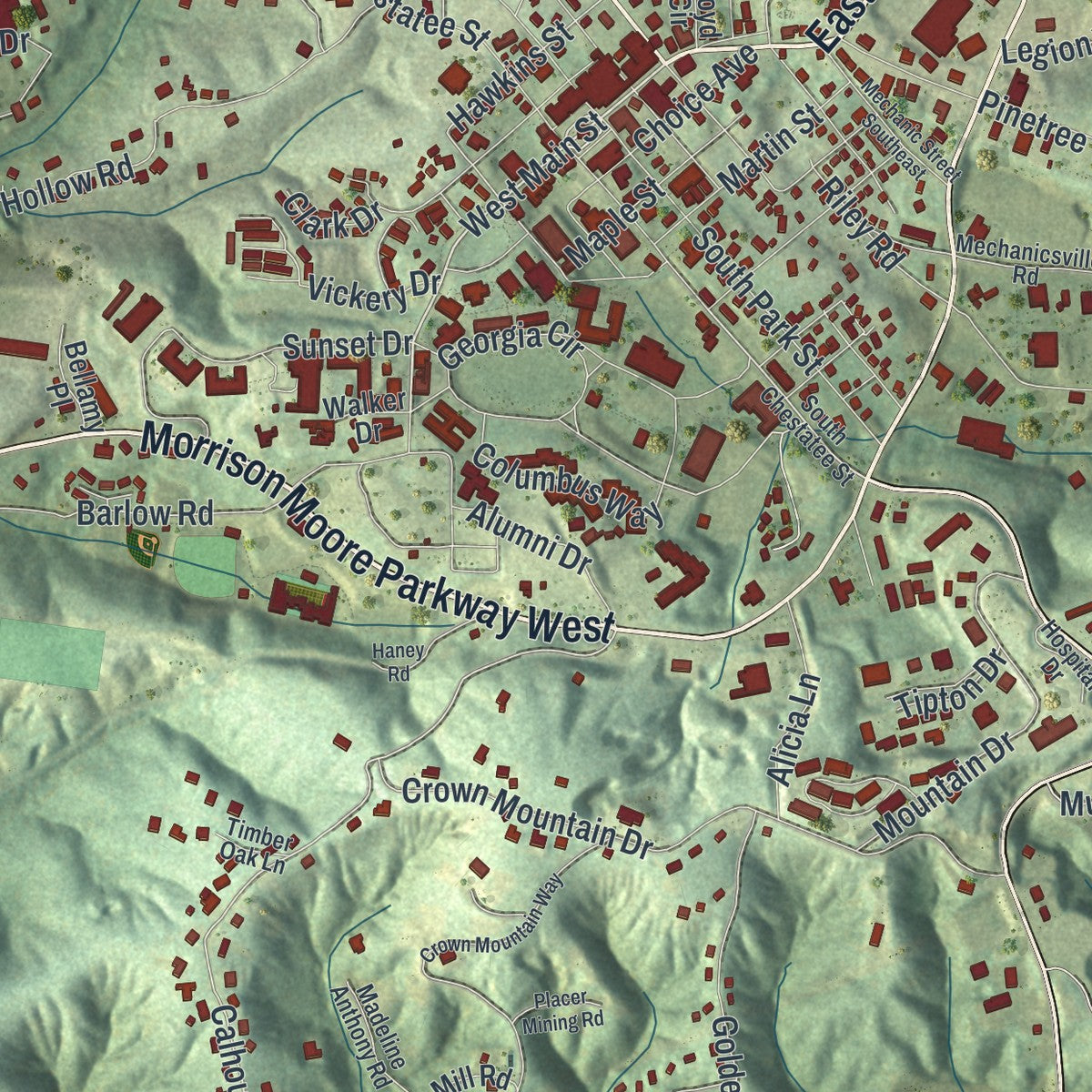 Close-up 1 of the Dahlonega, Georgia map artwork