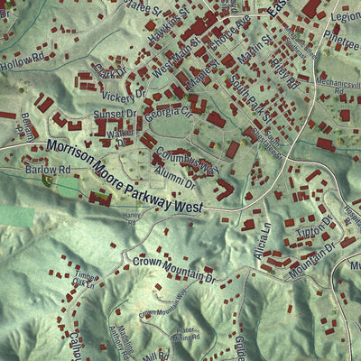 Close-up 1 of the Dahlonega, Georgia map artwork